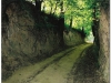 2004-05-kazimierz-15