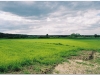 2004-05-kazimierz-9