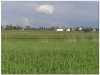 2005-0507-urle-9