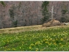 2008-0501-04-gorce-kdr