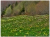 2008-0501-04-gorce