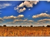 2009-0806-08-zlotow-tgr-202