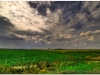 2009-0823-czermno