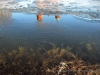 2012-0303-brochow-15