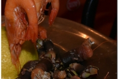 20161209 Lizbona 81 kdrb