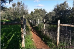 20161211 2 Guadelupa megality 2