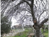 20110226-ateny-2-kerameikos-13