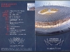 20110724-stadion-narodowy-ulotka1