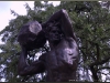 warszawa-stare-miasto-20110807-76