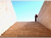 syria-2010-part2-palmyra-15