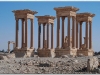 syria-2010-part2-palmyra-16