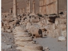 syria-2010-part2-palmyra-18