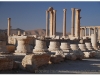 syria-2010-part2-palmyra-27