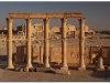 syria-2010-part2-palmyra-30