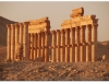syria-2010-part2-palmyra-35