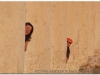syria-2010-part2-palmyra-38