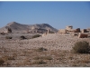 syria-2010-part2-palmyra-6