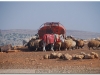 syria-2010-4-aleppo-i-okolice-1-8