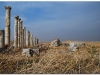 syria-2010-4-aleppo-i-okolice-6-apamea-1