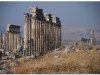syria-2010-4-aleppo-i-okolice-6-apamea-2