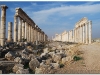 syria-2010-4-aleppo-i-okolice-6-apamea-6