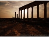 syria-2010-4-aleppo-i-okolice-6-apamea-7