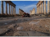 syria-2010-4-aleppo-i-okolice-6-apamea-8