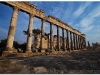 syria-2010-4-aleppo-i-okolice-6-apamea-9