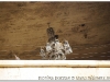 syria-2010-4-aleppo-i-okolice-7-9