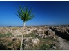 syria-2010-part-5-4ugarit