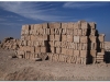 syria-2010-part3-eufrat-11