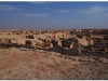syria-2010-part3-eufrat-13