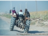 syria-2010-part3-eufrat-27