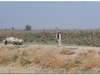 syria-2010-part3-eufrat-28