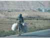 syria-2010-part3-eufrat-29