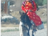 syria-2010-part3-eufrat-31