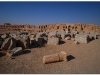 syria-2010-part3-eufrat-37