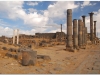 20101031-syria-bosra-136