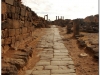 20101031-syria-bosra-157