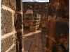 20101031-syria-bosra-170
