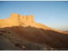 20101106-syria-palmyra-11