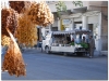 20101107-syria-palmyra-101