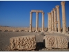 20101107-syria-palmyra-150