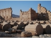 20101107-syria-palmyra-155