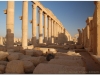 20101107-syria-palmyra-208