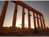20101107-syria-palmyra-217