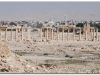 20101107-syria-palmyra-57