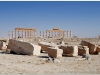 20101107-syria-palmyra-63
