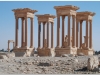 20101107-syria-palmyra-66