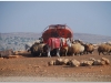 20101112-syria-1-18